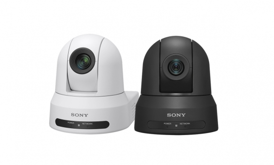 Sony Professional SRGL-4K licenza per software/aggiornamento 1 licenza/e
