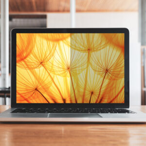 3M Filtro Privacy Bright Screen per 13.5 pol Laptop a Schermo Pieno, 3:2, BP135C3E