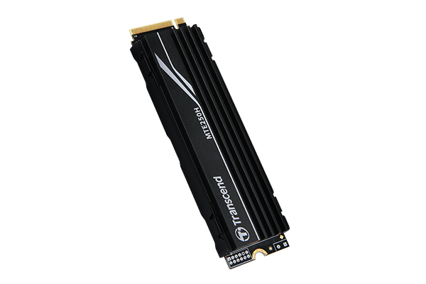 Transcend TS4TMTE250H drives allo stato solido 4 TB M.2 PCI Express 4.0 NVMe