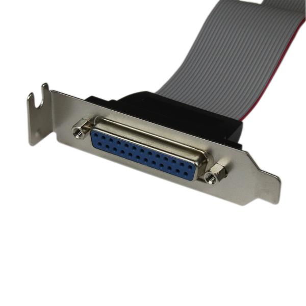 StarTech.com Adattatore cavo collettore porta parallela 40 cm basso profilo con staffa – DB25 (F) a IDC26 immagine gallery 2 StarTech.com Adattatore cavo collettore porta parallela 40 cm basso profilo con staffa – DB25 (F) a IDC26