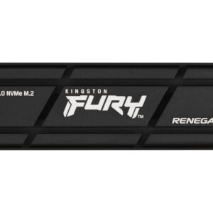 Kingston Technology 4000G RENEGADE PCIe 4.0 NVMe SSD W/ Dissipatore di calore immagine principale Kingston Technology 4000G RENEGADE PCIe 4.0 NVMe SSD W/ Dissipatore di calore