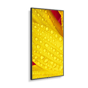 NEC MultiSync ME431 Pannello piatto per segnaletica digitale 109,2 cm (43") IPS 400 cd/m² 4K Ultra HD Nero 18/7 immagine gallery 4 NEC MultiSync ME551 Pannello piatto per segnaletica digitale 139,7 cm (55") IPS 400 cd/m² 4K Ultra HD Nero 18/7