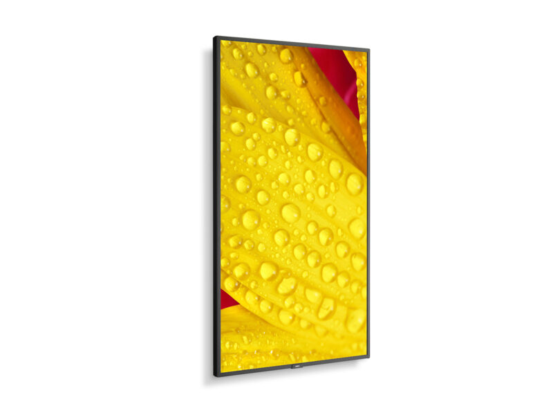 NEC MultiSync ME431 Pannello piatto per segnaletica digitale 109,2 cm (43") IPS 400 cd/m² 4K Ultra HD Nero 18/7 immagine gallery 4 NEC MultiSync ME551 Pannello piatto per segnaletica digitale 139,7 cm (55") IPS 400 cd/m² 4K Ultra HD Nero 18/7