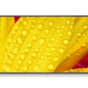 NEC MultiSync ME431 Pannello piatto per segnaletica digitale 109,2 cm (43") IPS 400 cd/m² 4K Ultra HD Nero 18/7 immagine principale NEC MultiSync ME551 Pannello piatto per segnaletica digitale 139,7 cm (55") IPS 400 cd/m² 4K Ultra HD Nero 18/7