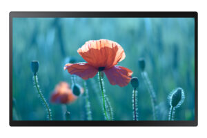 Samsung QB24R-TB Pannello piatto interattivo 61 cm (24") LCD Wi-Fi 250 cd/m² Full HD Nero Touch screen Tizen 4.0 16/7 immagine principale Samsung QB24R-TB Pannello piatto interattivo 61 cm (24") LCD Wi-Fi 250 cd/m² Full HD Nero Touch screen Tizen 4.0 16/7