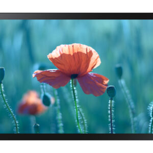 Samsung QB24R-TB Pannello piatto interattivo 61 cm (24") LCD Wi-Fi 250 cd/m² Full HD Nero Touch screen Tizen 4.0 16/7 immagine principale Wasabi Surveillance Cloud