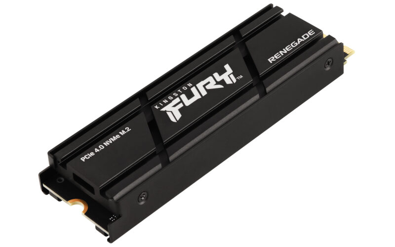 Kingston Technology 1000G RENEGADE PCIe 4.0 NVMe SSD W/ Dissipatore di calore