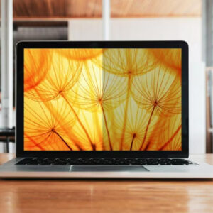 3M BPNDE005 schermo anti-riflesso 33 cm (13") Computer portatile Filtro per la privacy senza bordi per display