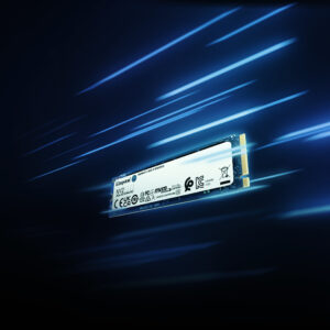 Kingston Technology 2000G NV2 M.2 2280 PCIe 4.0 NVMe SSD