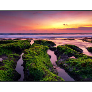 Samsung QB55B Pannello piatto per segnaletica digitale 139,7 cm (55") LCD Wi-Fi 350 cd/m² 4K Ultra HD Nero Processore integrato Tizen 6.5 16/7 immagine principale Samsung QB75B Pannello piatto per segnaletica digitale 190,5 cm (75") Wi-Fi 350 cd/m² 4K Ultra HD Nero Processore integrato Tizen 6.5 16/7