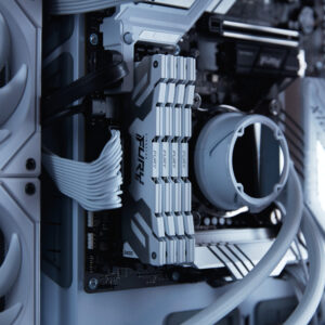Kingston Technology FURY 32GB 6400MT/s DDR5 CL32 DIMM Renegade White XMP